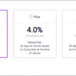 Screenshot in the RateSetter review, showing how to set your own interest rate