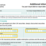 Tax return SA101 for peer to peer lending